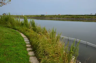 零海岸泥螺滩