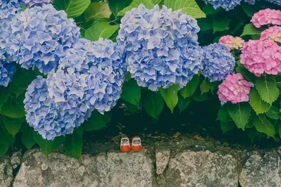 2-Day Osaka, Kyoto & Minoh Highlights Tour (with Latest Shopping & Transport Tips)