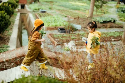 Bringing Yue Close to Nature at 九善农植有机生活农场 — A Record of the 九善 Member Open Day