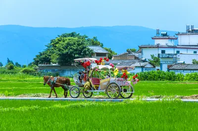大理馬車體驗