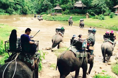 Maetang Elephant Park