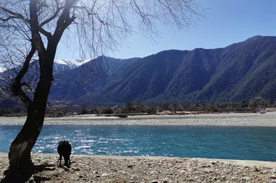 冬遊西藏：藍天綠水，日照金山，還有風景在路上