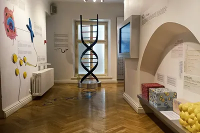 Estonian Health Museum