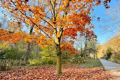 Taylor Creek Park
