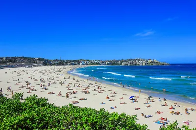 Beach Sunbathing in Sydney