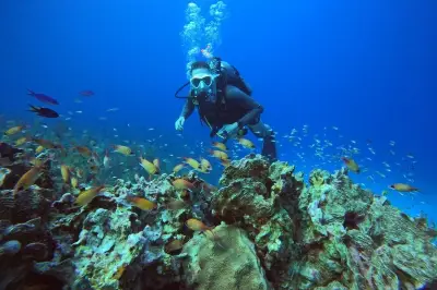 Dive Adventure