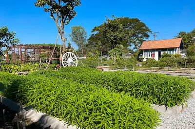 TM Farm Roadhouse