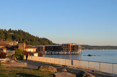 Charles Richey Sr Viewpoint