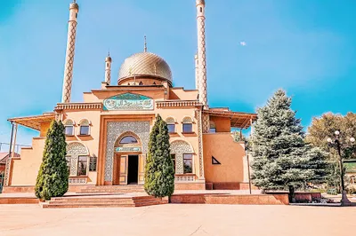 Mechet' Ali Mukhammad