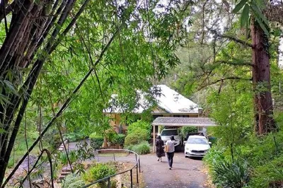 Sydney's Most Understated Noble Garden: Swain Gardens