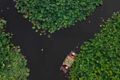 搖櫓船