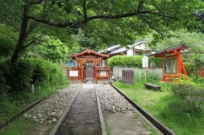 不老水