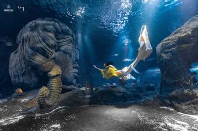 Chongqing Haichang Ocean Park