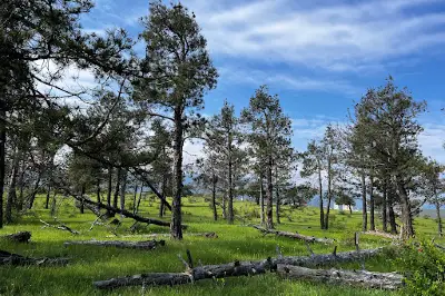 Lisi Lake Green Zone