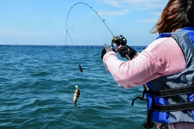 Sea Fishing in Dalian