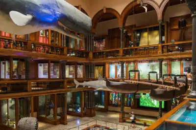 Bishop Museum