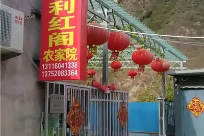 天津薊縣八仙山利紅閣農家院，必點大鍋燉魚美味無比，喫着就是鮮！