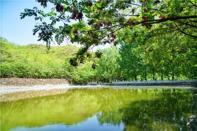 河北藏着一座金山，2000個淘金戶家裏的算盤，揭開了大山中的祕密