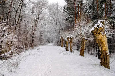 Old Vilnius - Kaunas road section
