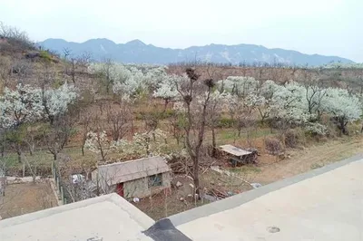 薊縣梨木臺榮海國華農家院，帶孩子的最愛來，山核桃就他們家多！