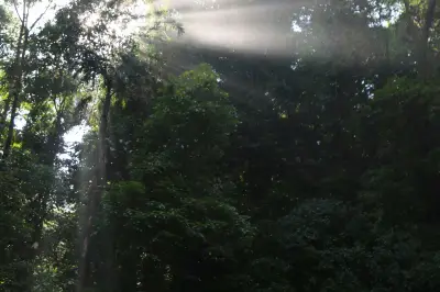 不能轻易触碰的云南