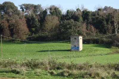 Riserva Naturale di Decima-Malafede
