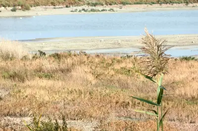 Yuncheng Salt Lake Ecological Wetland Park