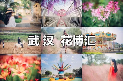 邂逅秋日武漢花博彙，與粉黛亂子來場浪漫約會