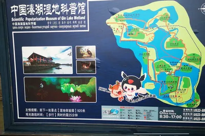 Qinhu Wetland: Lakes Within Islands, Islands Within Lakes