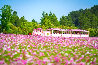 Mulan Grassland