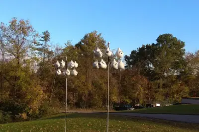 Whitfield Park