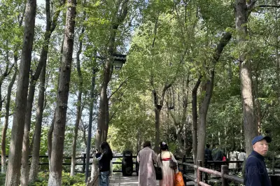 乌镇西栅景区-步行栈道