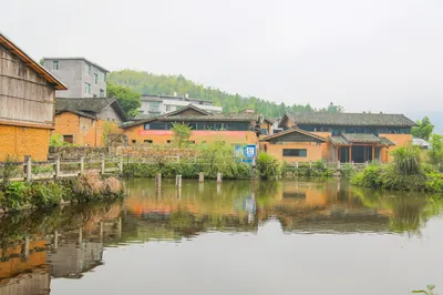 An ancient village in Ningde, Fujian: For 800 years, locals have not eaten carp, treating it as divine, and burying it in a fish tomb after death