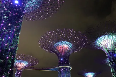 暑假新加坡親子游