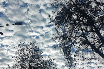 Barrio Jose Joaquin Vargas Park