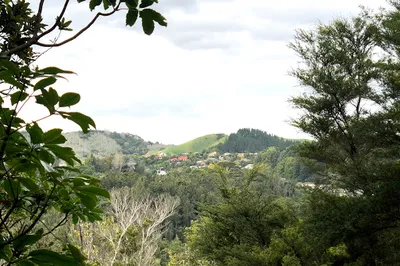 Reeme Street Reserve