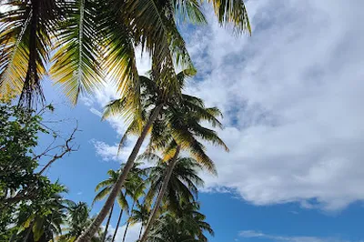 Caracoles Beach