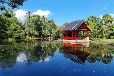 Cairns Chinese Friendship Garden