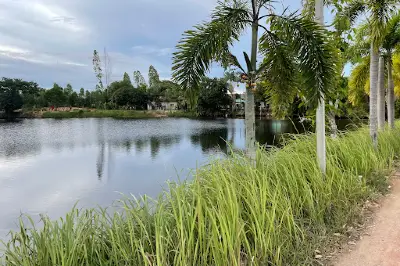 TIGHT LINES Fishing Park Pattaya