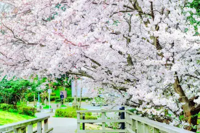 西公園