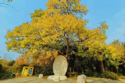 郑州黄河文化公园