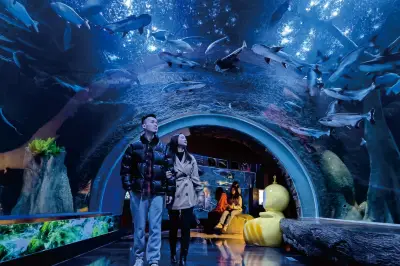 Chengdu Cube Oceanarium