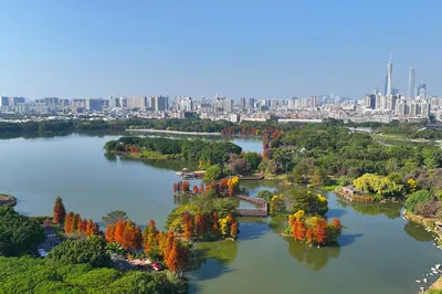 海珠國家溼地公園