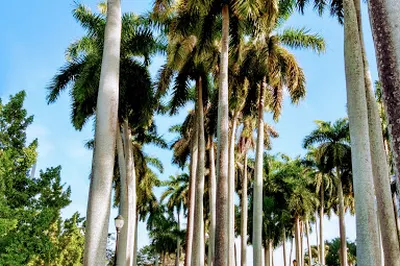 Antonio Maceo Park