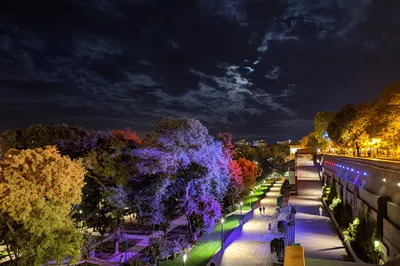 Odesa Park