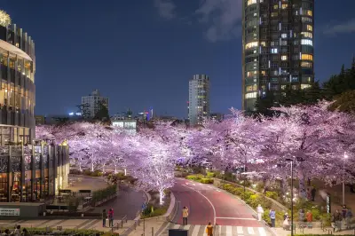 Roppongi