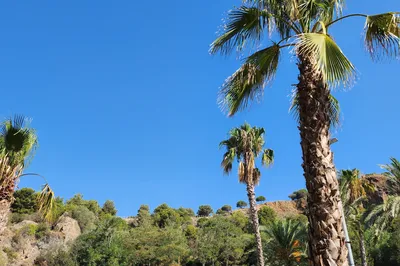 伍艾塔德鲁考鲁公园