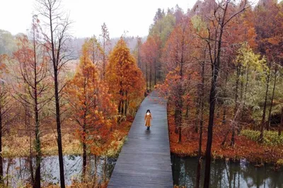 Couple’s Trip | Wandering Jiangsu – A 3-Day, 2-Night Hidden Treasure Guide