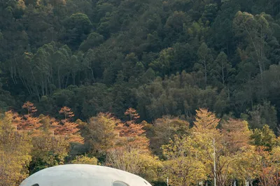 Chunmuyuan in Spring: A Paradise on Earth