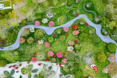 Floral Wonderland 2026 at Shanghai Expo Culture Park